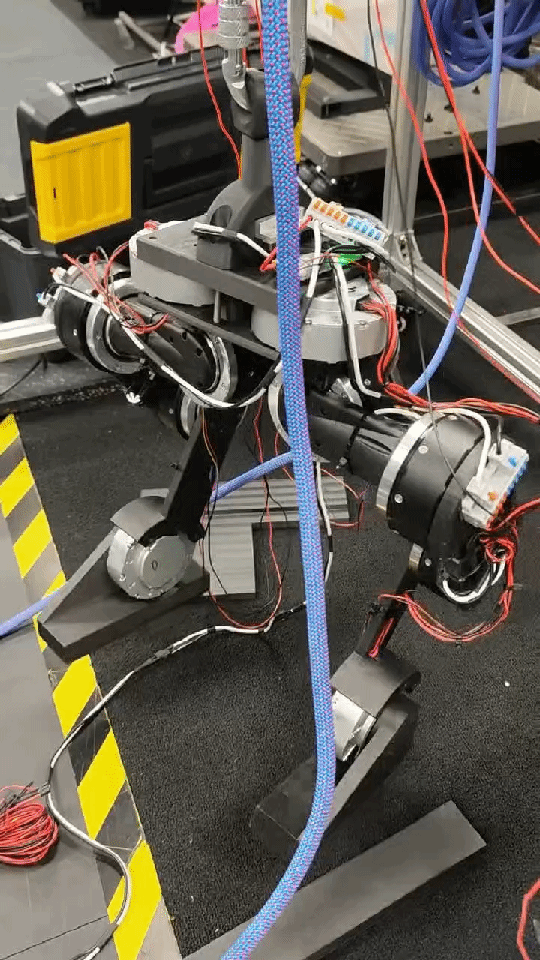 Legged robot real-world test
